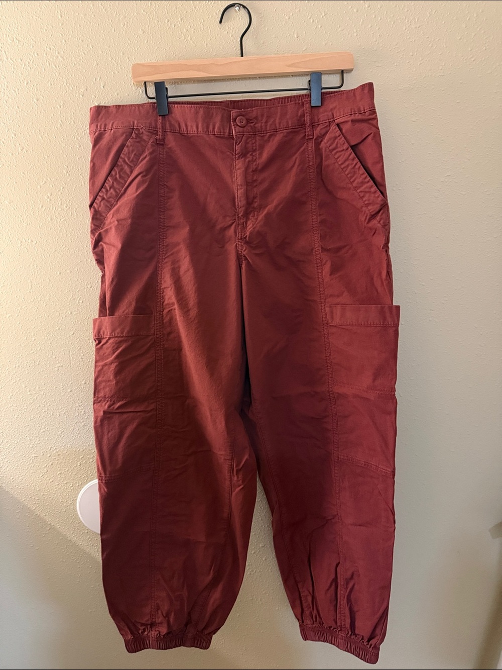 American Eagle Outfitters Maroon Baggy Jogger Pants